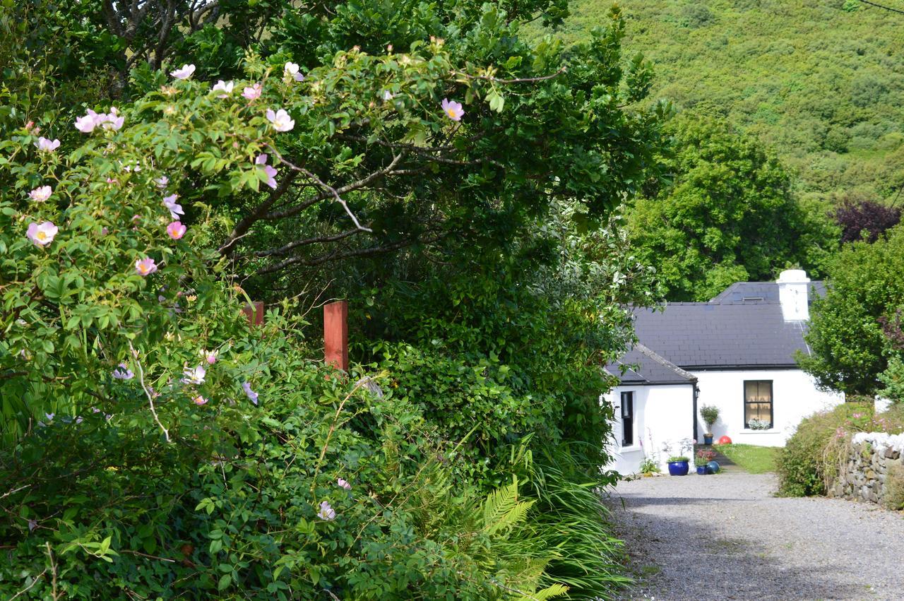 Kilcommon Ostello Belmullet
